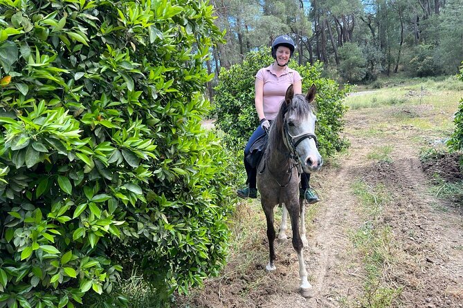 2 Hours Shared Horse Riding in Kemer Antalya All Level Riders - Who Should Book This Horse Ride (And Who Should Skip It)