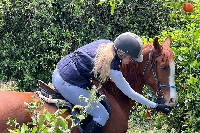 2 Hours Shared Horse Riding in Kemer Antalya All Level Riders - FAQ
