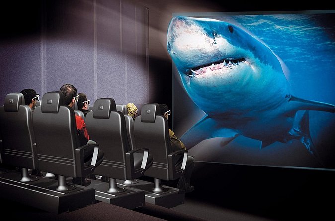 4-Hour Guided Antalya Aquarium Tour - English Guidance That Keeps Things Simple
