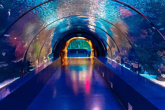 4-Hour Guided Antalya Aquarium Tour - What a 4-Hour Tour Feels Like for Real Plans