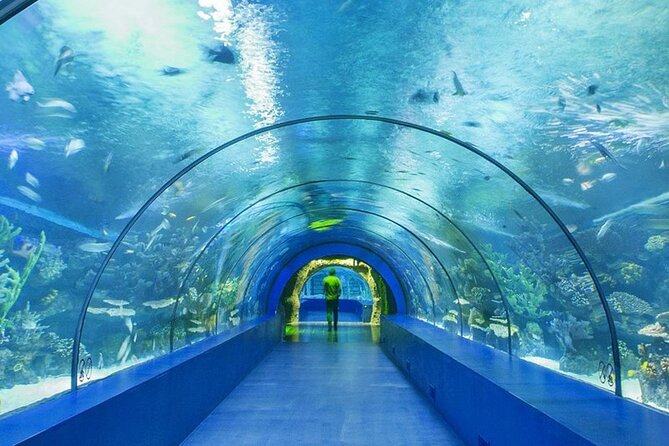4-Hour Guided Antalya Aquarium Tour - How the 11:30 Pickup Works (and Why Timing Varies)