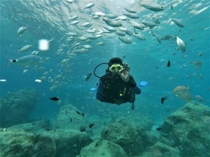Antalya and Kemer: Full Day Scuba Diving Tour with Lunch - Meeting in Kemer: Ayisigi Otopark, optional hotel pickup, and when to be ready