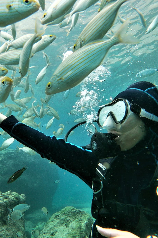 Antalya and Kemer: Full Day Scuba Diving Tour with Lunch - Gear, instructors, English language help, and your participation certificate
