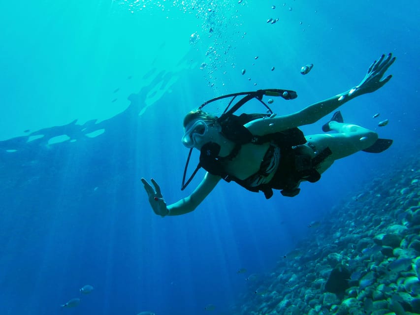 Antalya and Kemer: Full Day Scuba Diving Tour with Lunch - Price and value at $27: what you get, what you might pay extra for