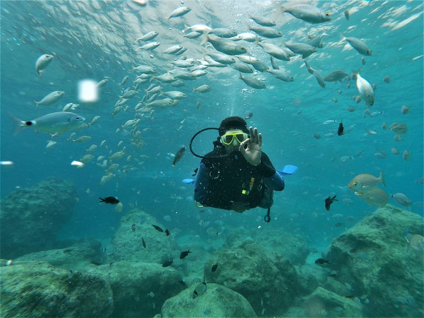 Antalya and Kemer: Full Day Scuba Diving Tour with Lunch - Who should book this scuba tour in Antalya and Kemer, and who should skip