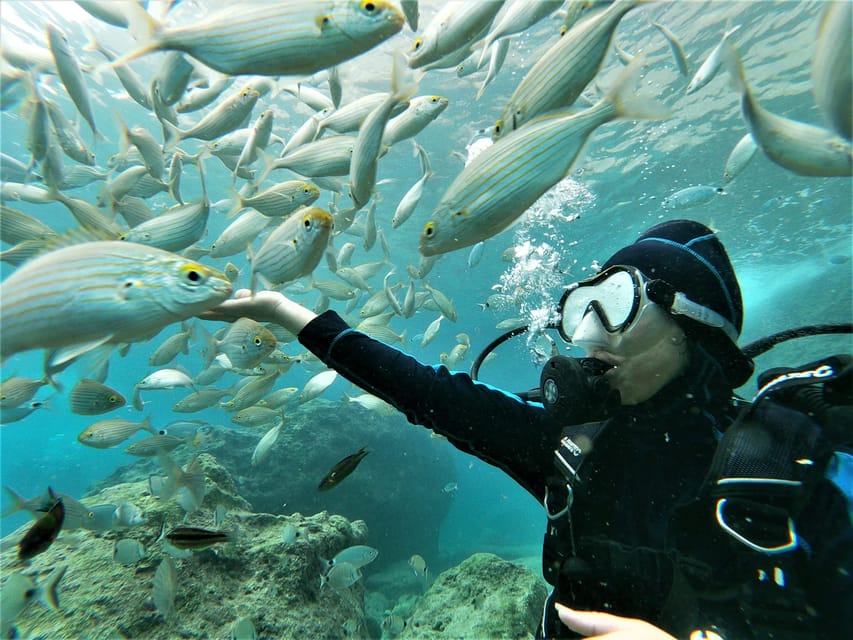 Antalya and Kemer: Full Day Scuba Diving Tour with Lunch - What the safety briefing and training really cover for beginners