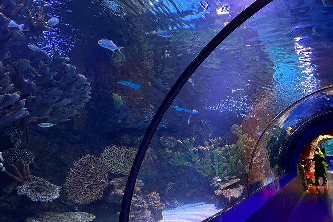 Antalya Aquarium and Face to Face Wax Museum Private Transfer - Price and Value: What You’re Really Paying For