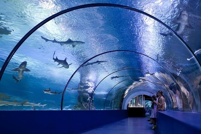 Antalya Aquarium and Face to Face Wax Museum Ticket - Key Highlights at a Glance