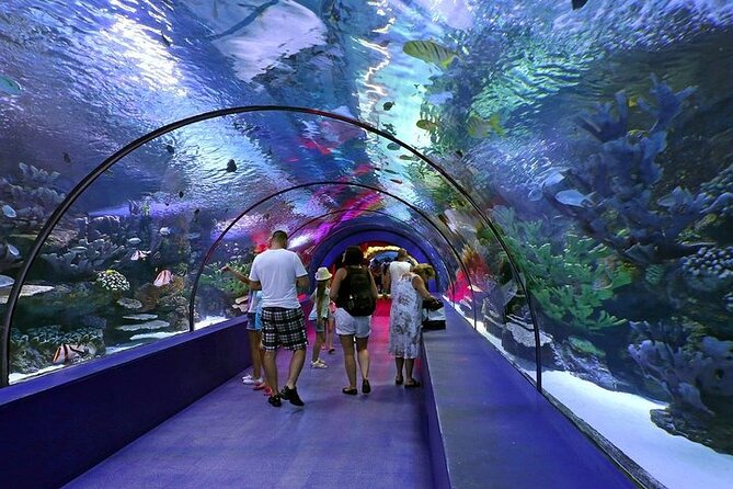 Antalya Aquarium and Face to Face Wax Museum Ticket - Timing That Actually Fits: Hours, Planning, and How to Not Rush