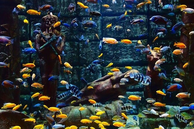 Antalya Aquarium and Face to Face Wax Museum Ticket - Mobile Ticket and Day-Of Ease: How to Make This Effortless