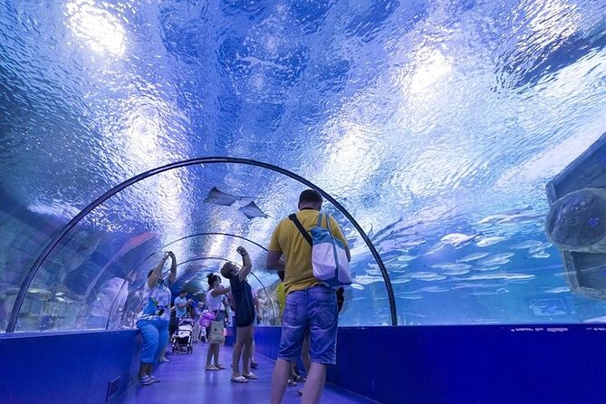 Antalya Aquarium and Face to Face Wax Museum Ticket - Who This Tour Fits Best (and When It Might Not)