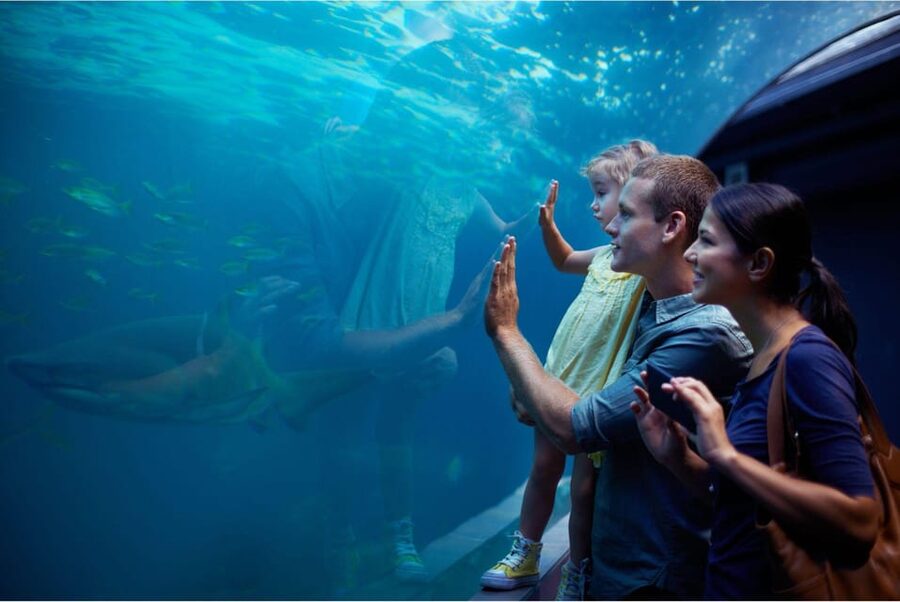 Antalya: Aquarium and Wax Museum Entry Ticket - Key things to know before you go