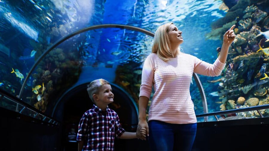Antalya: Aquarium and Wax Museum Entry Ticket - World’s longest Antalya Aquarium sea tunnel, and why it feels different