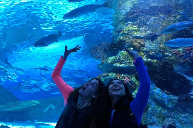 Antalya: Aquarium Ticket With Optional Transfer - A family-friendly 3-hour break in Antalya