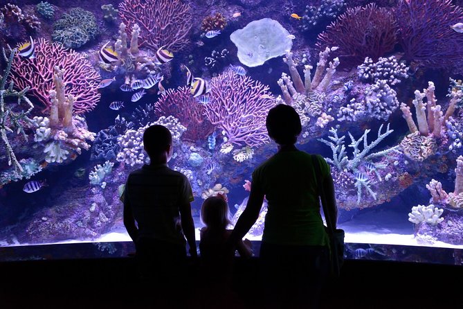 Antalya: Aquarium Ticket With Optional Transfer - Skip-the-line entry, and why it changes the whole day