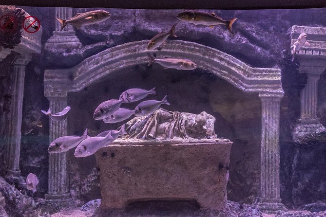 Antalya: Aquarium Ticket With Optional Transfer - Beyond the aquarium, how to think about Wild Park and Snow World