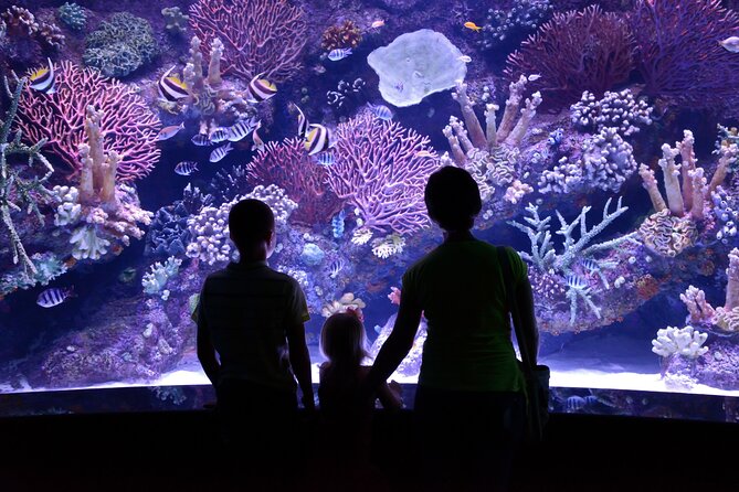 Antalya: Aquarium, Wax Museum & Combo Package Options - What you’ll actually see inside Antalya Aquarium