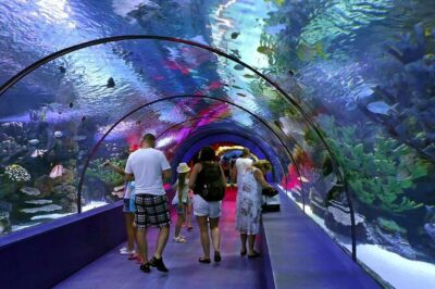 Aquarium, Wax Museum & Combo Package Options