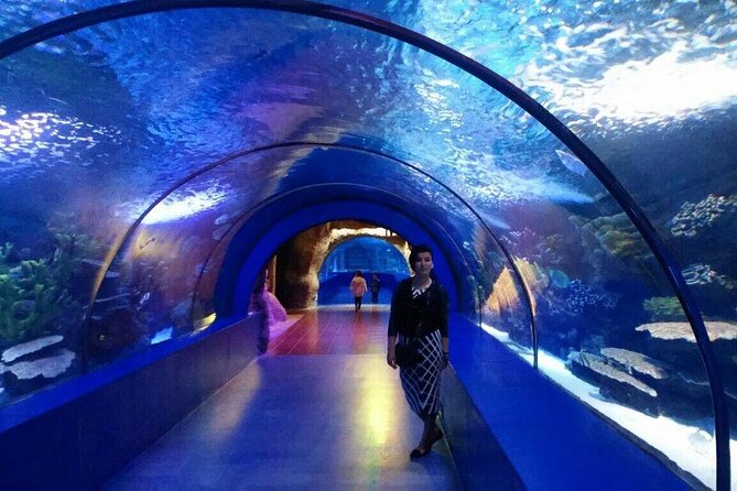 Antalya: Aquarium, Wax Museum & Combo Package Options - Price and value: does $54.06 make sense?