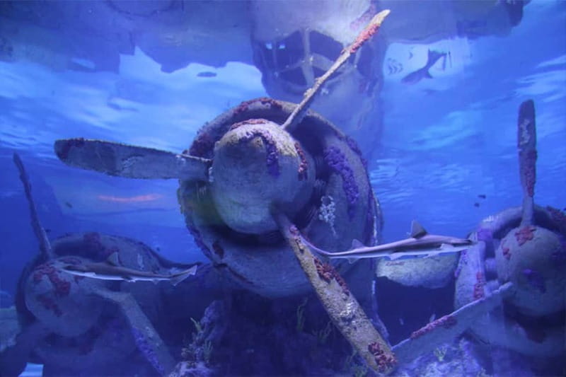 Antalya: Aquarium, Wax Museum & Combo Package Options - The value question, $50 per person, and when it feels worth it
