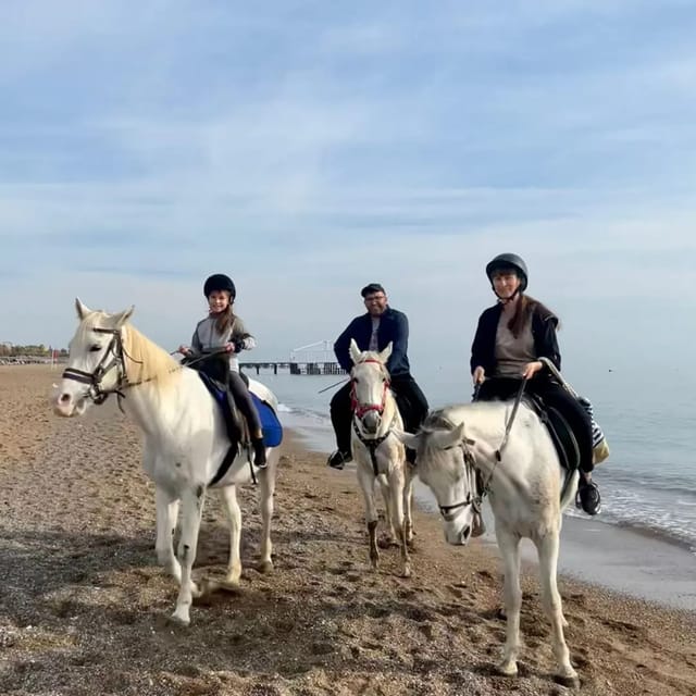 Antalya : Belek , Kundu , Horse Riding - Your guided safari route: forest, desert terrain, sand, and sea time