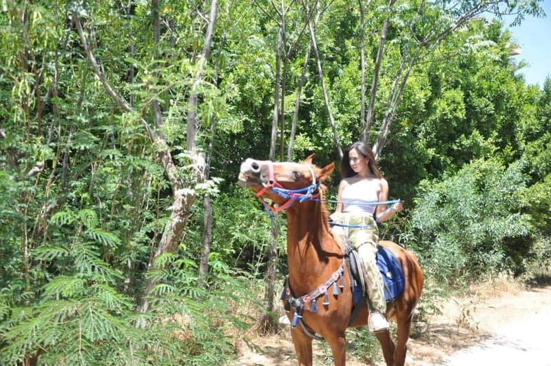 Antalya: Deniz Molalı At Safarisi - The horse farm feel: why a rehabilitation center matters
