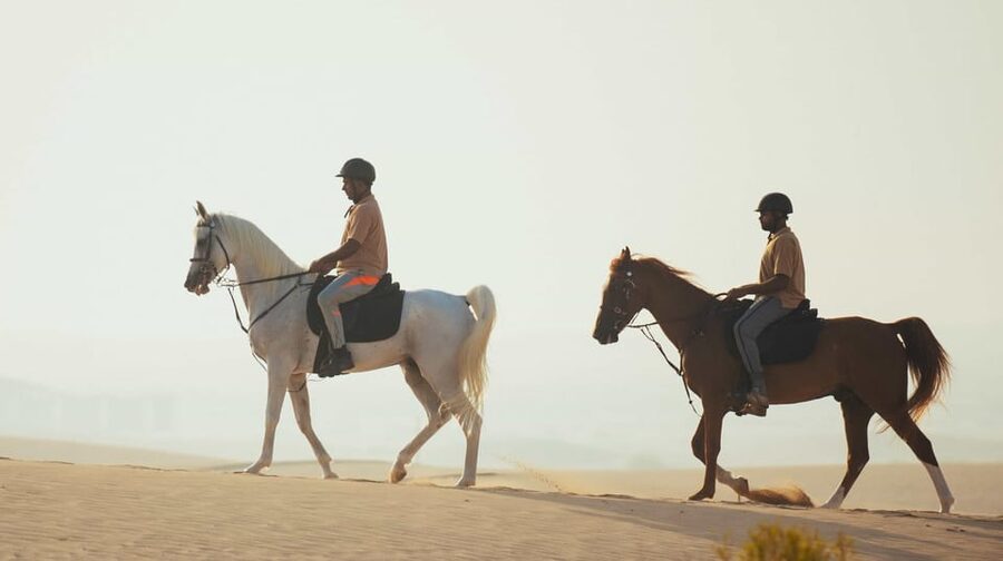 Antalya: Guided ATV and Horse Riding Safari in Lara - Price and Value: Is $86 Fair for ATV, Horses, and Pickup?