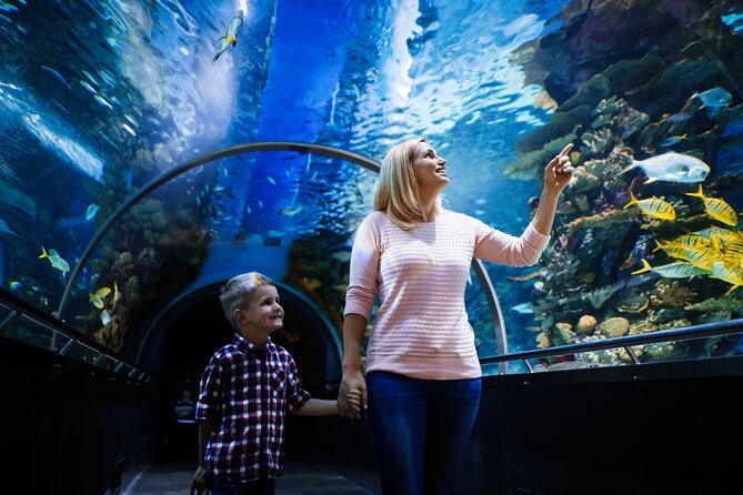 Antalya Half-Day Private City Tour with Aquarium Visit - Kaleici Strolling Time: Turn the Gate Stories into Real Street Sense