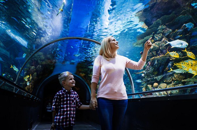 Antalya Half-Day Private City Tour with Aquarium Visit - Price and Value for a Private Tour with Tickets