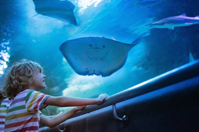 Antalya Half-Day Private City Tour with Aquarium Visit - Pickup and private logistics, the stuff that makes or breaks the day