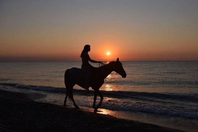 Antalya Horse Riding On Beach And Through The Forests For 2 Hours - Key highlights to know before you go