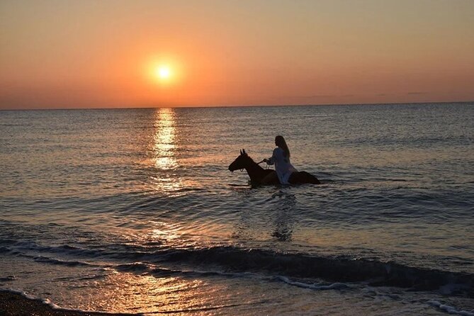 Antalya Horse Riding On Beach And Through The Forests For 2 Hours - Pickup, meeting point, and the small-group flow
