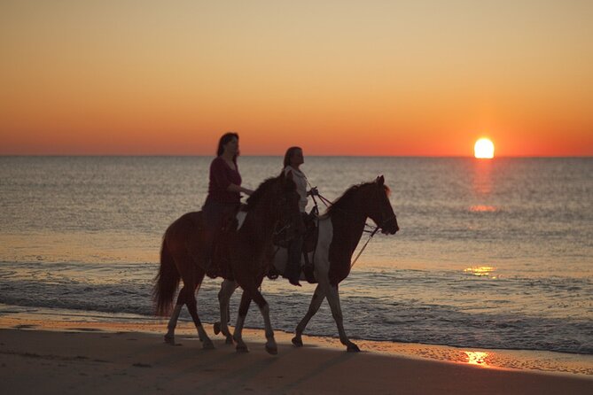 Antalya Horse Riding On Beach And Through The Forests For 2 Hours - Beach riding details that can make or break the day