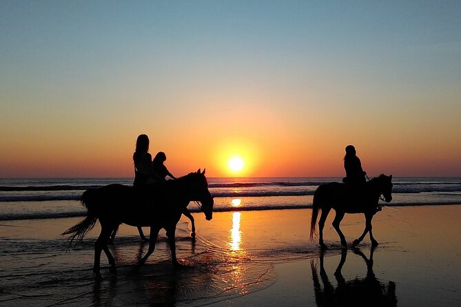 Antalya Horse Riding On Beach And Through The Forests For 2 Hours - Pine forest riding, pace, and rider comfort