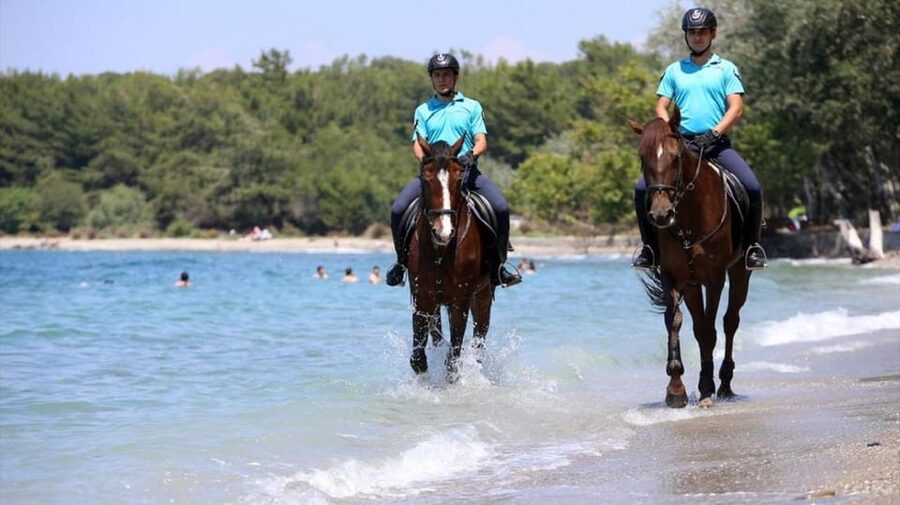 Antalya Horse Safari - Horses and instruction: what “tame and competent” means for you
