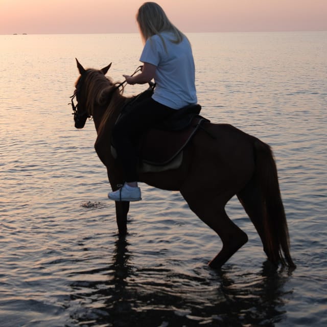 Antalya Horse Safari - The 1.5-hour rhythm: how the tour feels in two parts