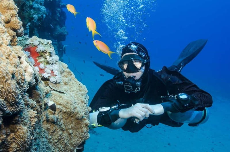 Antalya/Kemer: Scuba Diving Experience with 2 Dives & Lunch - Key highlights to know before you go