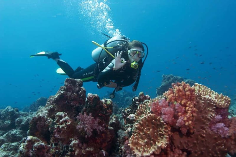Antalya/Kemer: Scuba Diving Experience with 2 Dives & Lunch - Photos and video: budget for memories, or skip the add-ons