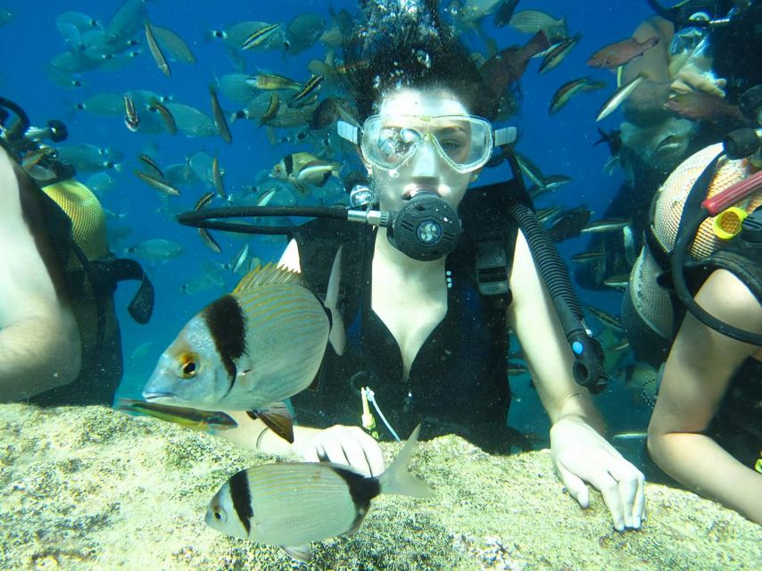 Antalya/Kemer: Scuba Diving Experience with Lunch & Pick up - Kemer’s bays are built for an easy first tank day