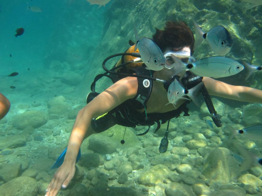 Antalya/Kemer: Scuba Diving Experience with Lunch & Pick up - Aquarium Bay and Kiris Bay: what you are paying for under the surface