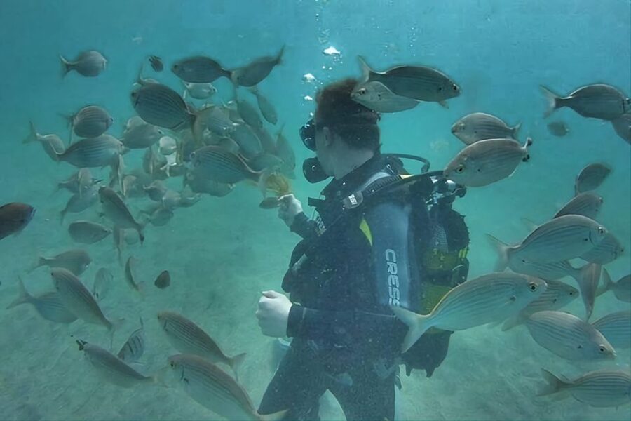 Antalya/Kemer: Scuba Diving Experience with Lunch & Pick up - Price value at about $29: what you get, what costs extra