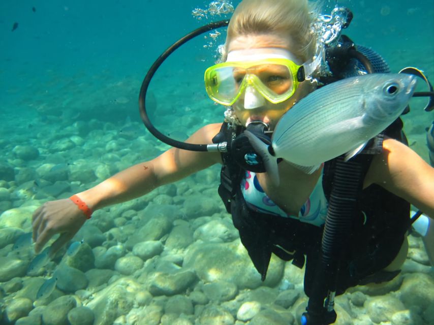 Antalya/Kemer: Scuba Diving Experience with Lunch & Pick up - Who this Kemer tank day is best for