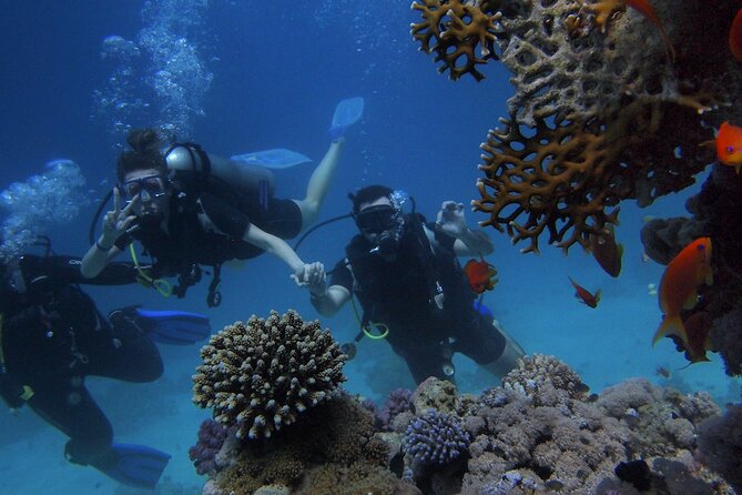 Antalya/Kemer Scuba Diving with Pickup, Lunch, and 2 Dives - What You Get for $35 in Kemer