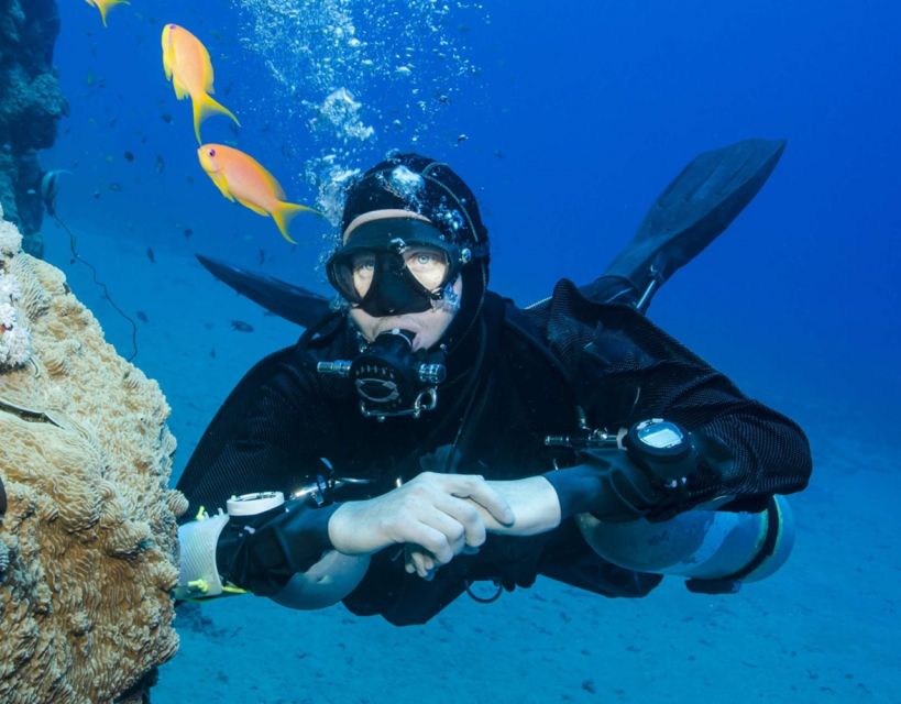 Antalya/Kemer: Scuba Diving with Pickup, Lunch, and 2 Dives - Reefs and a Shipwreck: The Underwater Highlights You’re Paying For