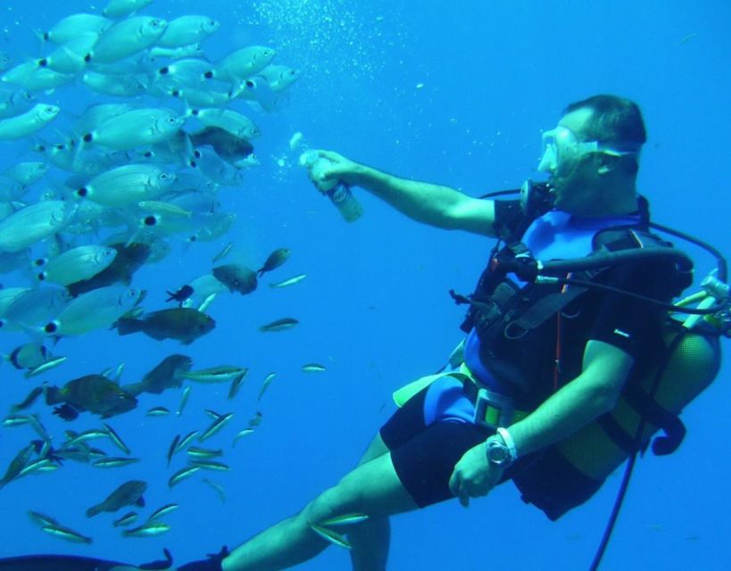 Antalya/Kemer: Scuba Diving with Pickup, Lunch, and 2 Dives - Price and Value: Why This Is $24 and Where the Costs Sneak In