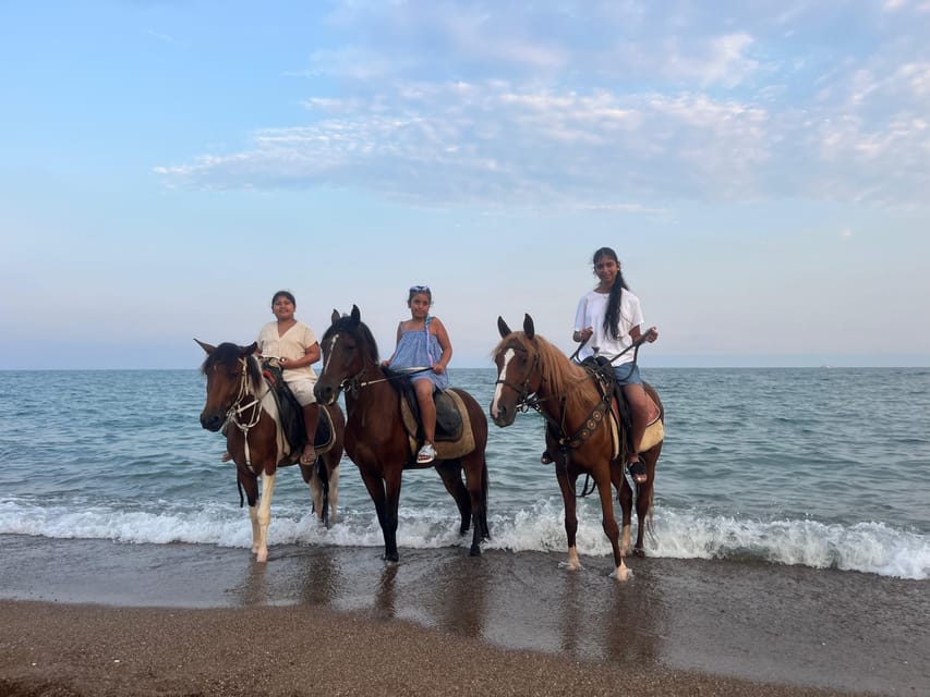 Antalya: Lara Beach & Forrest Horse Riding Safari - Horses and gear: what is included, what is not
