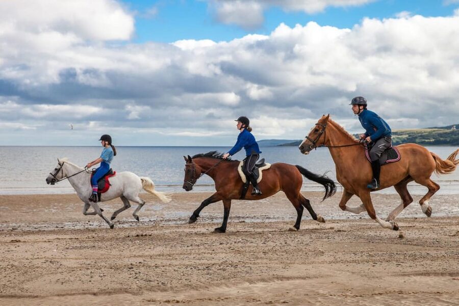 Antalya: Lara Beach & Forrest Horse Riding Safari - Instructor support in English and Turkish, and how help works