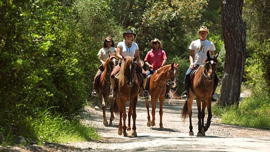 Antalya: Lara Beach & Forrest Horse Riding Safari - Price and value around $58: what you are really paying for