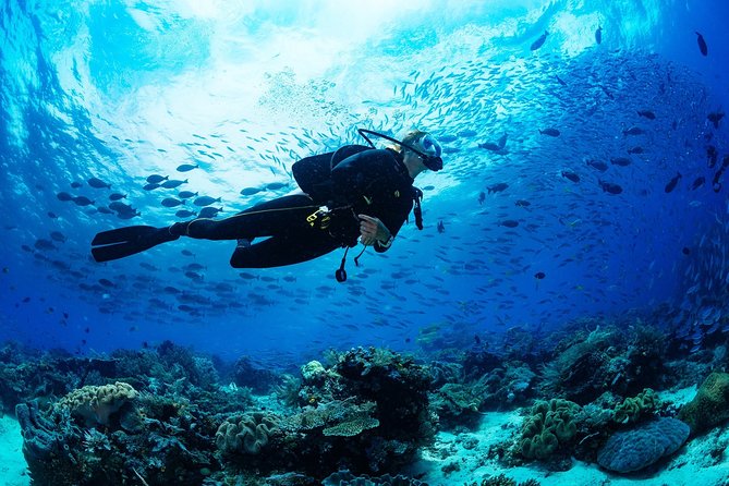 Antalya Scuba Diving at Mediterranean Sea incl. Lunch - What the Underwater Sessions Feel Like for Beginners