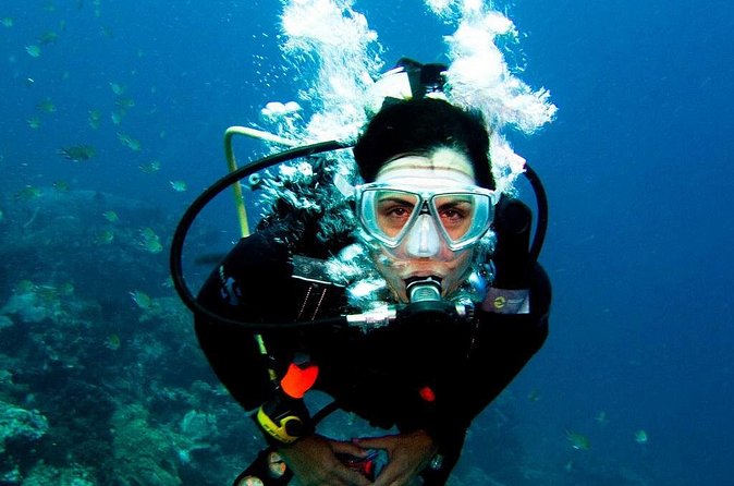 Antalya Scuba Diving at Mediterranean Sea incl. Lunch - Group Size, Comfort, and How to Avoid a Bad Day